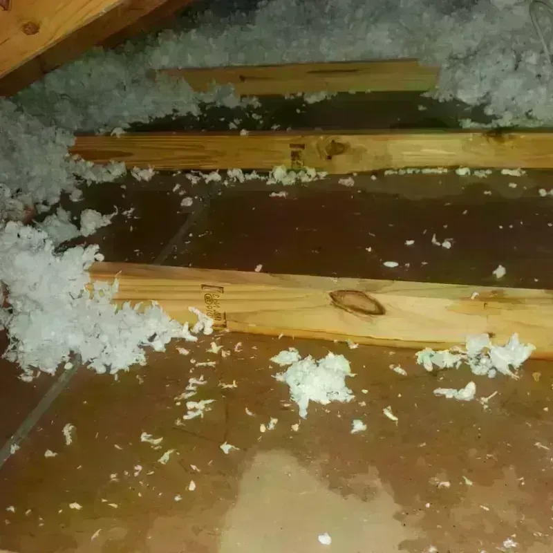 Attic Water Damage in West Newbury, MA